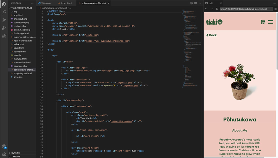 Visual identity development